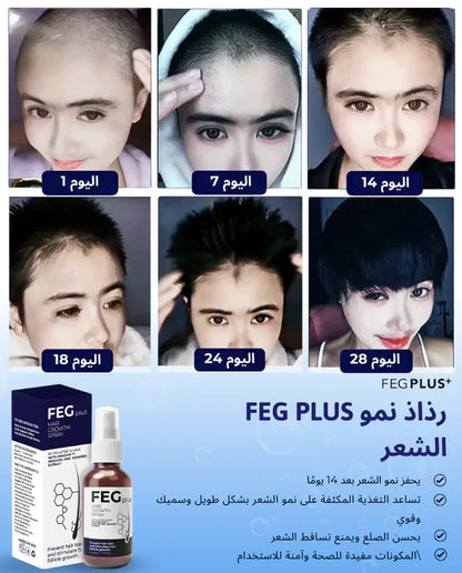 زيت FEG العضوي لمعالجة نمو الشعر